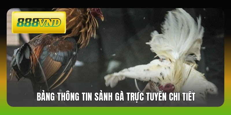 Bảng thông tin sảnh gà trực tuyến chi tiết