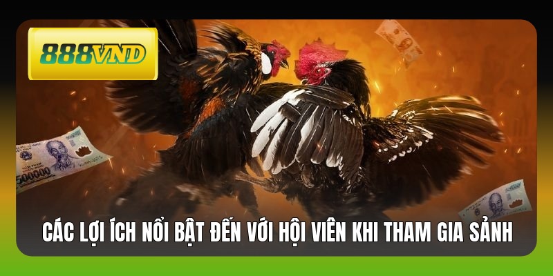 Các lợi ích nổi bật đến với hội viên khi tham gia sảnh