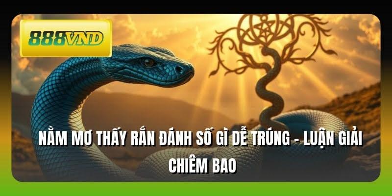 Nằm Mơ Thấy Rắn Đánh Số Gì Dễ Trúng - Luận Giải Chiêm Bao