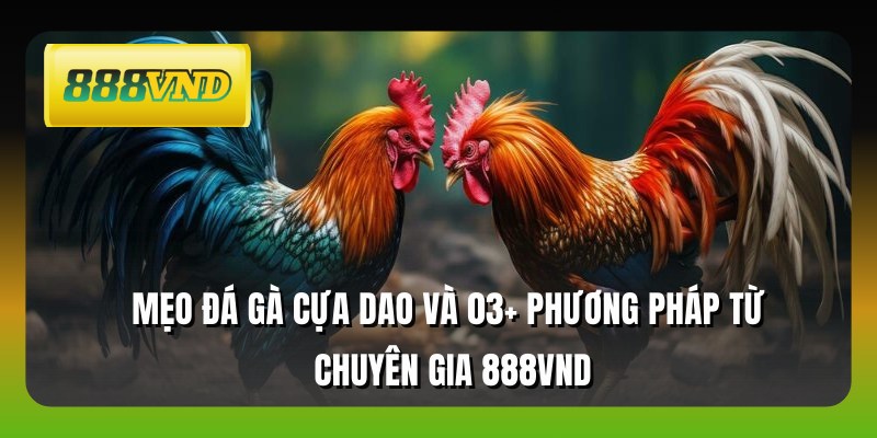 Mẹo Đá Gà Cựa Dao Và 03+ Phương Pháp Từ Chuyên Gia 888VND