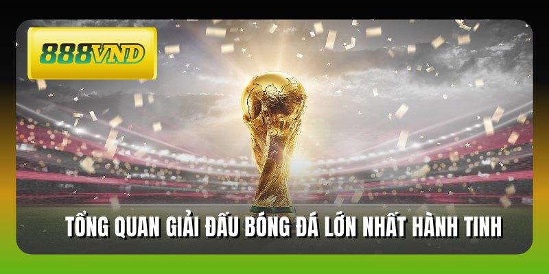 Tổng quan giải đấu bóng đá lớn nhất hành tinh