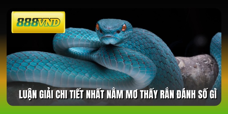Luận giải chi tiết nhất nằm mơ thấy rắn đánh số gì