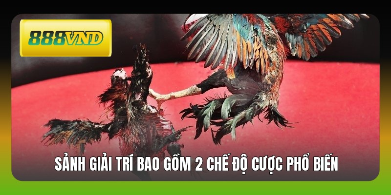 Sảnh giải trí bao gồm 2 chế độ cược phổ biến